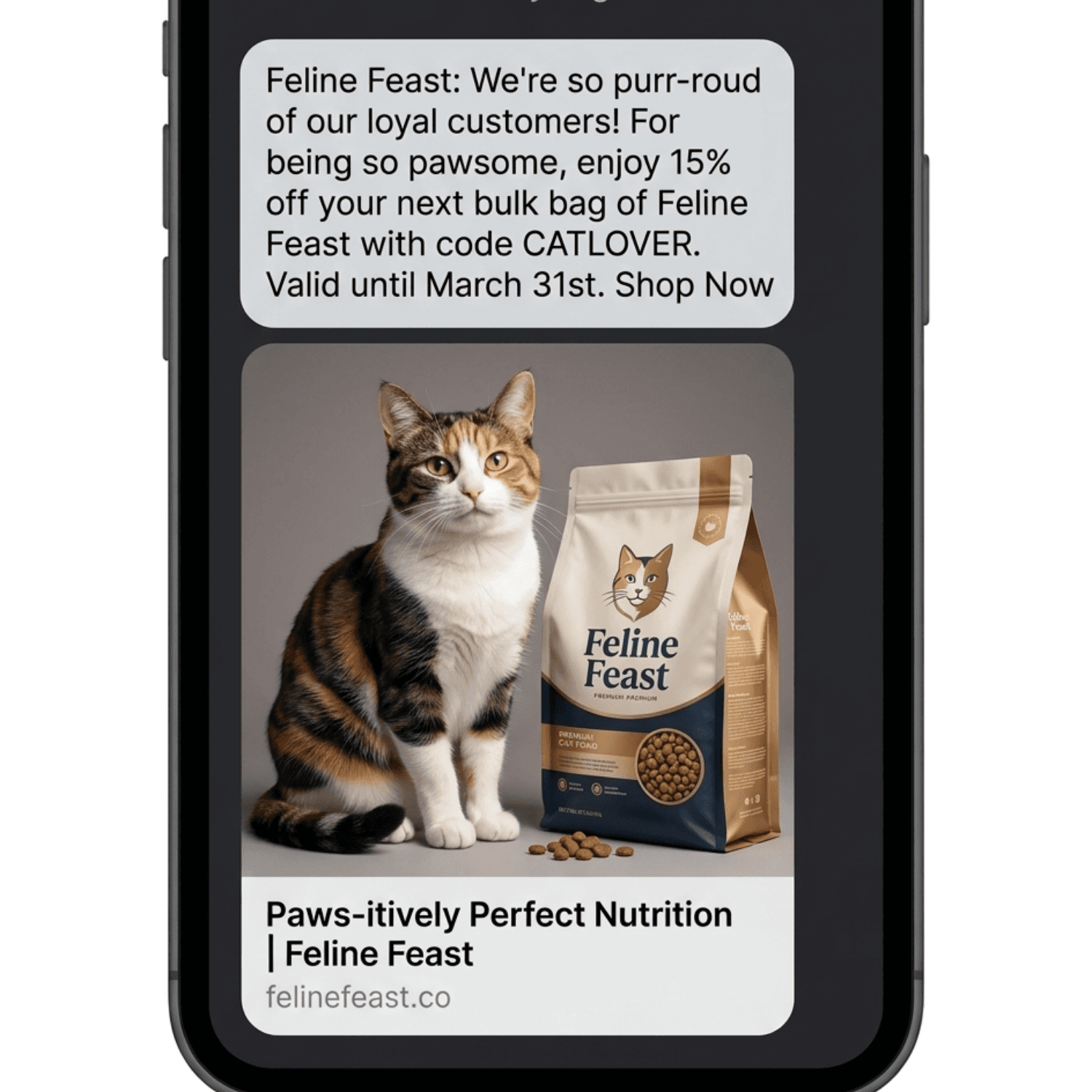 Email draft generated alongside campaign creative